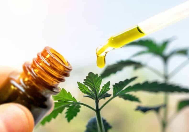 fabrication de l'huile de CBD